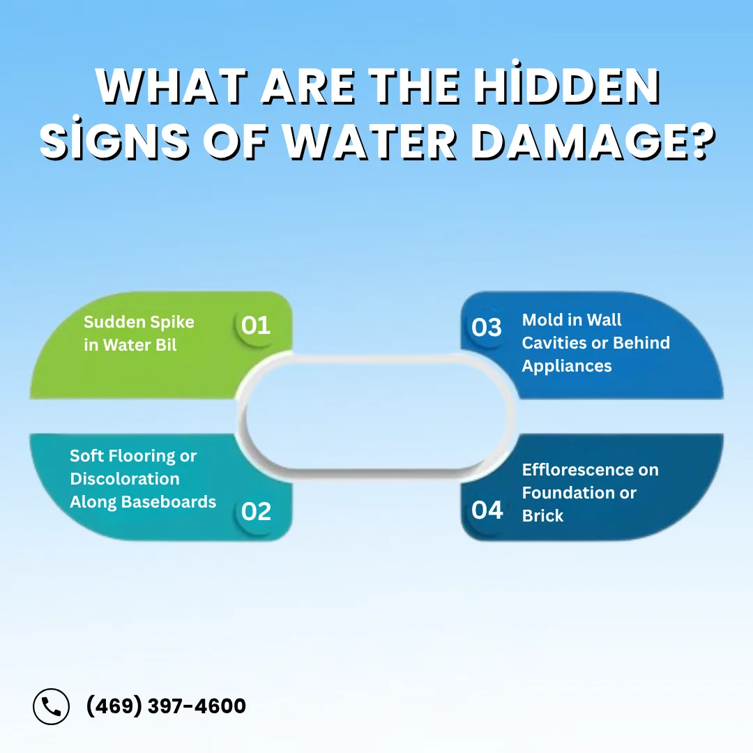 hidden signs of water damage including sudden water bill spike, soft flooring, mold in walls, and efflorescence on bricks.