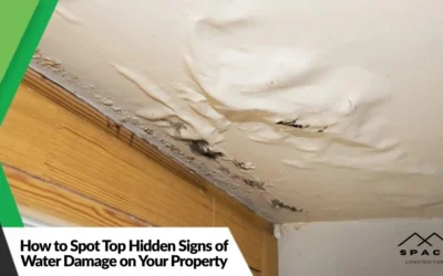 How to Spot Top Hidden Signs of Water Damage on Your Property